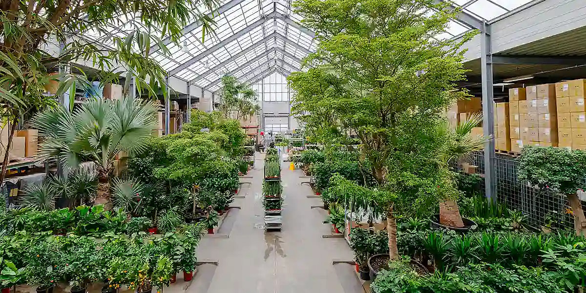 Planteindkøb ,GrowDesign,