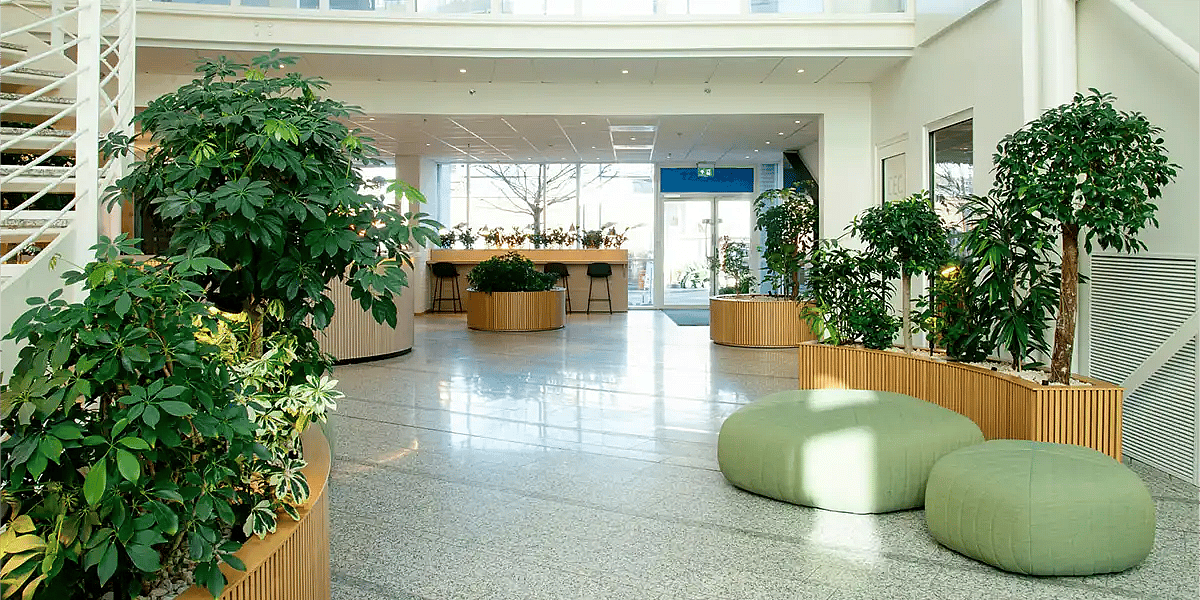 Planteservice Norge, Tropisk Design,