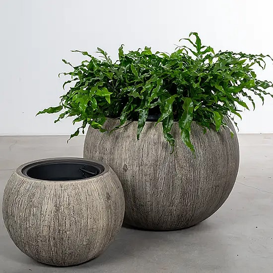 Growdesign,