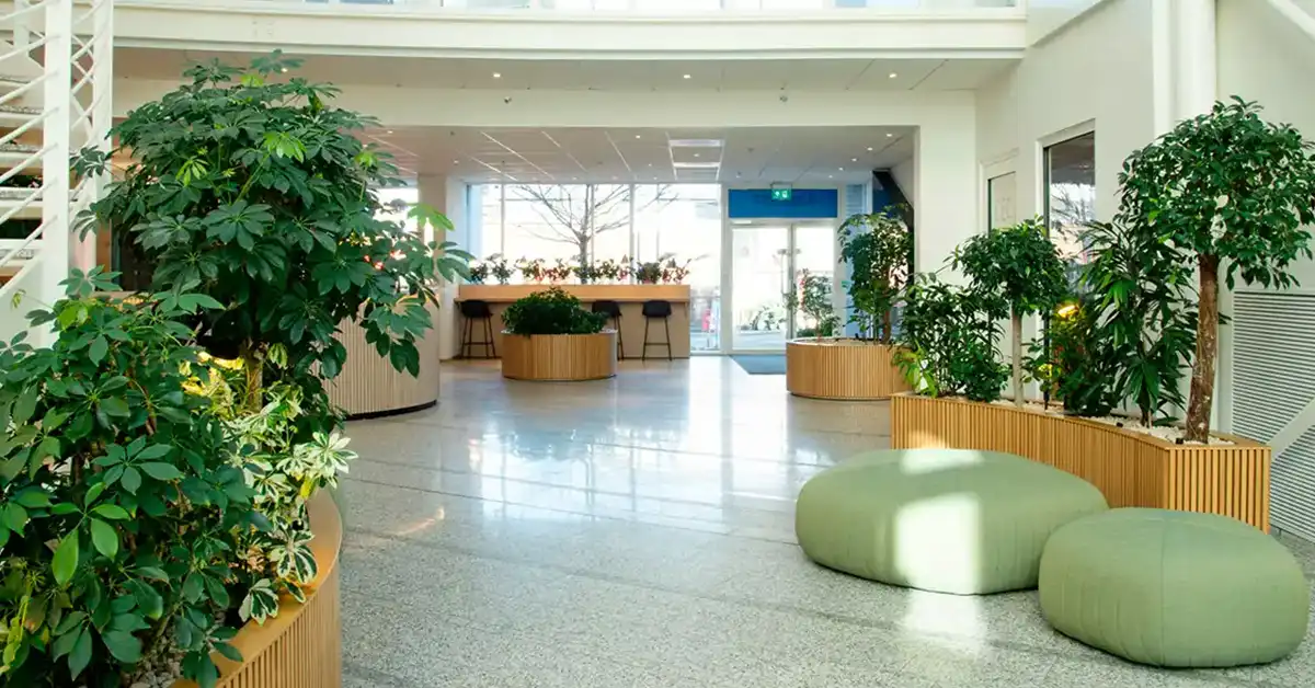 Tropisk Design | Norges førende planteservice virksomhed
